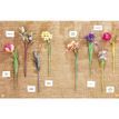 The Bouquet in a Book - Spring Flowers Papercraft Kit additional 4