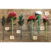 The Bouquet in a Book - Winter Flowers Papercraft Kit additional 9