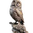 Richard Cooper Little Owl Bronze Sculpture additional 1