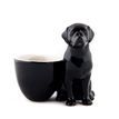 Quail Ceramics Black Labrador Egg Cup additional 1