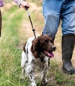Gifts For Dog Lovers
