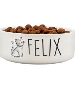 Christmas Gifts for Pets
