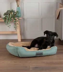 Christmas Gifts for Pets