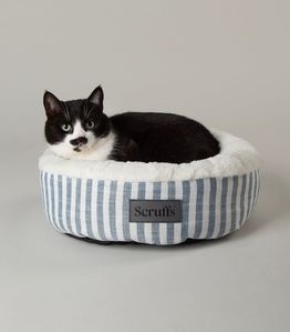 Christmas Gifts for Pets