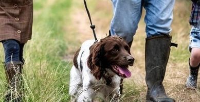 Gifts For Dog Lovers