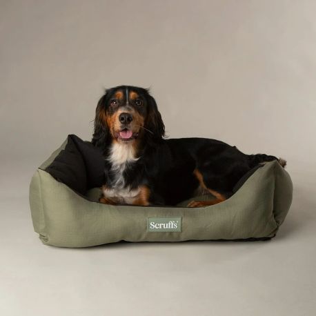 Scruffs Expedition Box Bed in Khaki Green
