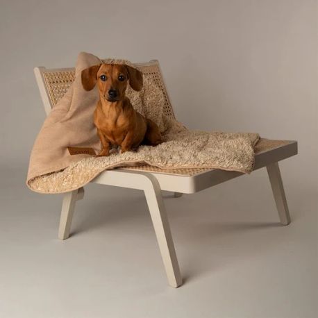 Scruffs Snuggle Blanket in Desert Sand