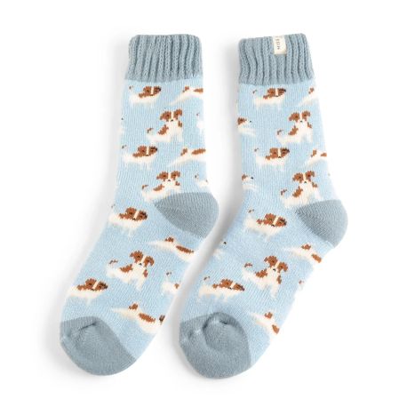 Miss Sparrow Jack Russells Powder Blue Winter Ladies Socks