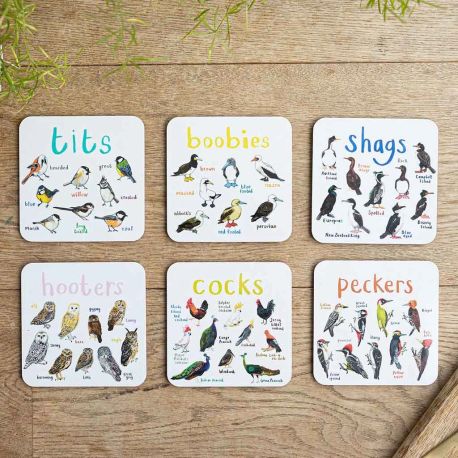 Sarah Edmonds Set of 6 Bird Pun Coasters
