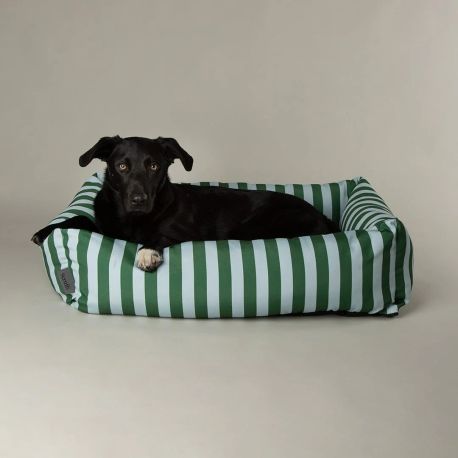 Scruffs Amalfi Striped Box Dog Bed - Green