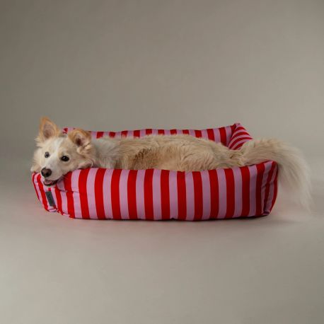 Scruffs Amalfi Striped Box Dog Bed - Pink