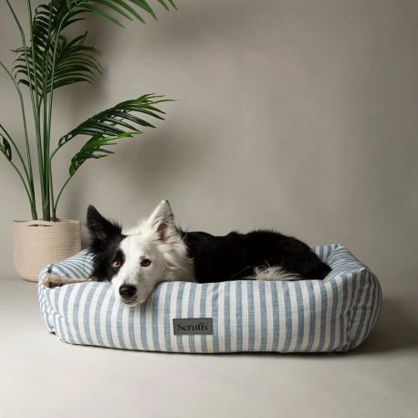 Scruffs Coastal Box Dog Bed - Blue
