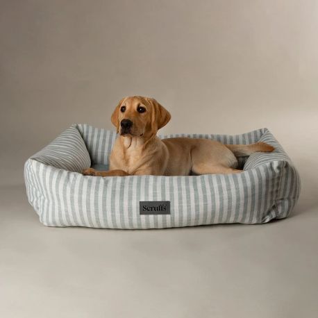 Scruffs Coastal Box Dog Bed - Green