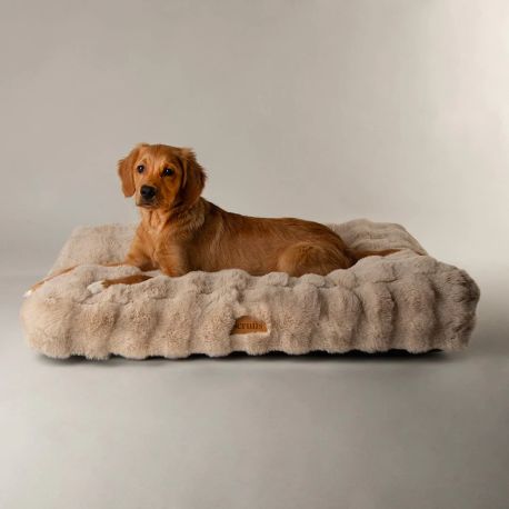 Scruffs Alpine Dog Mattress - Champagne
