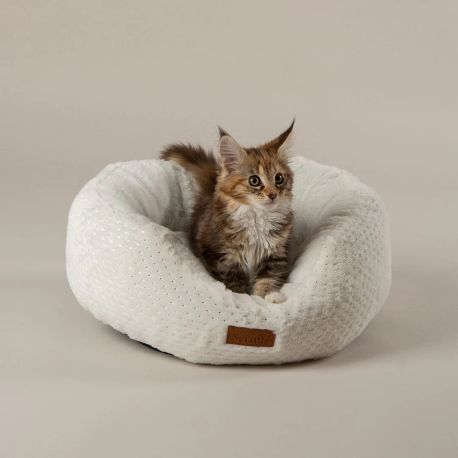 Scruffs Starlight 'My First' Round Kitten &amp; Puppy Bed &amp; Blanket Set - Cream