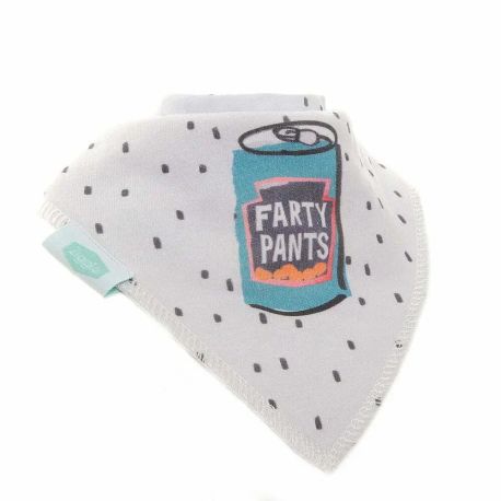 Farty Pants Baby Bib